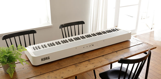 KORG B2N 200.jpg