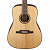 АКУСТИКА FENDER F-1000 DREADNOUGHT NATURAL