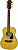 Акустическая гитара ARIA AFN-15-53 N