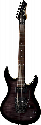 ЭЛЕКТРОГИТАРА WASHBURN RX22FR-FBB