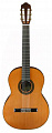 Классическая гитара ARIA A-50C