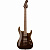 ЭЛЕКТРОГИТАРА WASHBURN X50PROFE