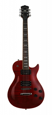 ЭЛЕКТРОГИТАРА WASHBURN WINPRO FTR