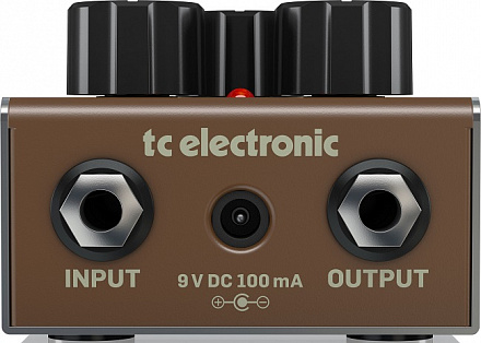 TC ELECTRONIC ECHOBRAIN ANALOG DELAY