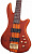 Бас-гитара SCHECTER STILETTO STUDIO-5 HSN