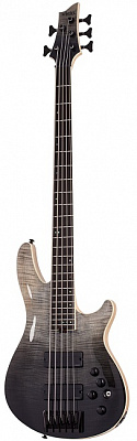 Бас-гитара SCHECTER SLS ELITE-5 BFB