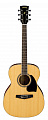 Акустическая гитара IBANEZ PC15NT