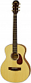Акустическая гитара ARIA-151 MTN