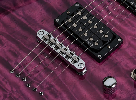 ЭЛЕКТРОГИТАРА SCHECTER C-6 PLUS EM