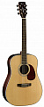 Акустическая гитара CORT EARTH 100RW NAT