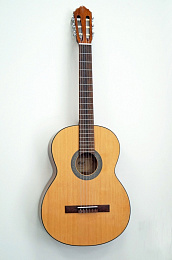 Классическая гитара CORT AC50-SG