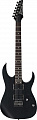 ЭЛЕКТРОГИТАРА IBANEZ RG421 WK