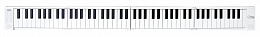 Складное фортепиано BLACKSTAR CARRY-ON 88