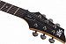 Электрогитара SCHECTER SGR C-1 WSN