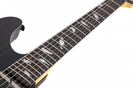 Электрогитара SCHECTER DJ ASHBA CBG