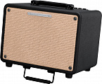 Комбоусилитель IBANEZ T30-U TROUBADOUR ACOUSTIC COMBO