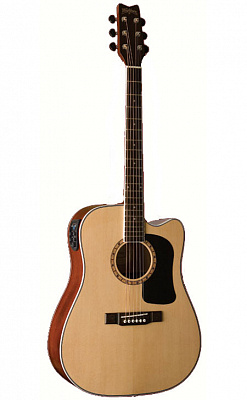 ЭЛЕКТРОАКУСТИЧЕСКАЯ ГИТАРА WASHBURN D9CE(B,N)