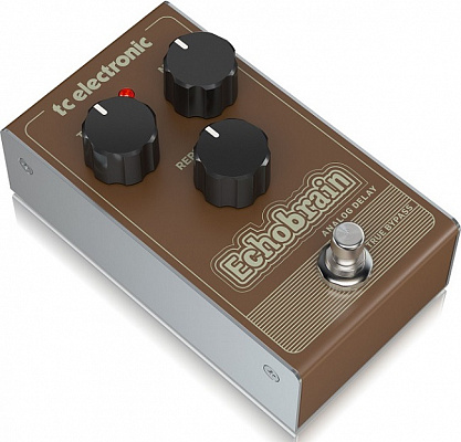 TC ELECTRONIC ECHOBRAIN ANALOG DELAY