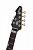 Электрогитара SCHECTER DJ ASHBA CBG